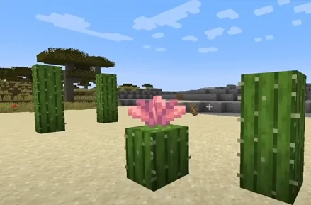 Minecraft 1.21.5 Imagem 14