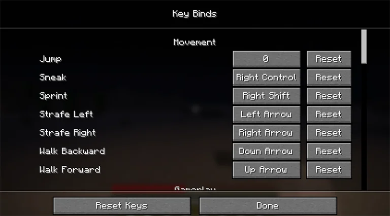 Minecraft Controls