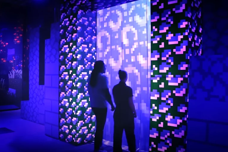 Minecraft Experience Picture 3