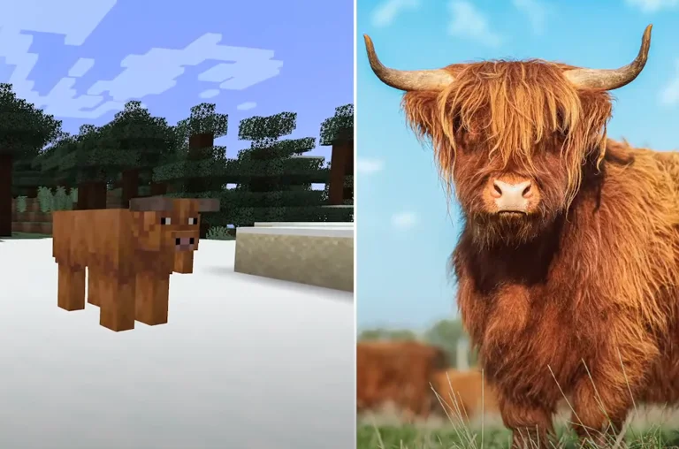 Minecraft Live 2025 Imagem 2