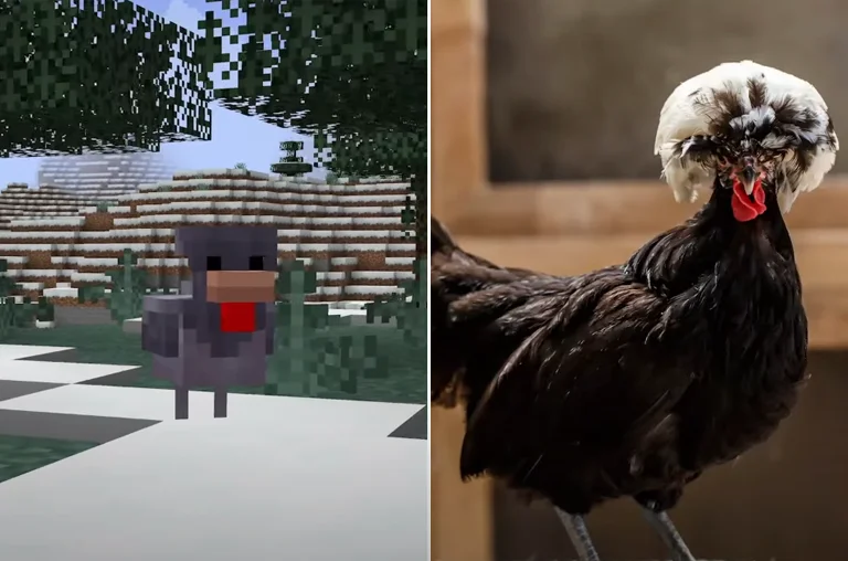 Minecraft Live 2025 Imagem 3