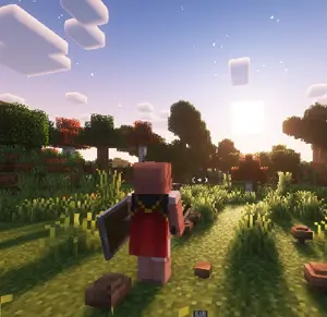 Considerações Finais