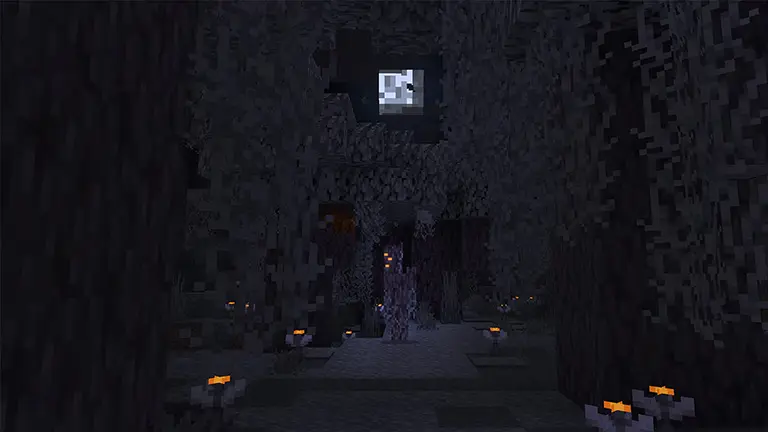 The Garden Awekens Available Picture 7