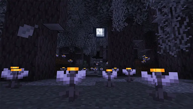 The Garden Awekens Available Picture 8